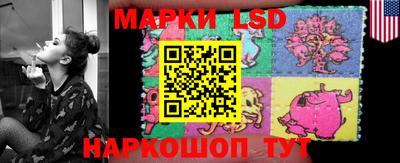 гидра Кимры