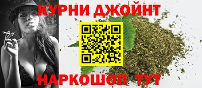 гидра Кимры